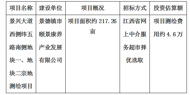 景興大道西側(cè)緯五路南側(cè)地塊一、地塊二宗地